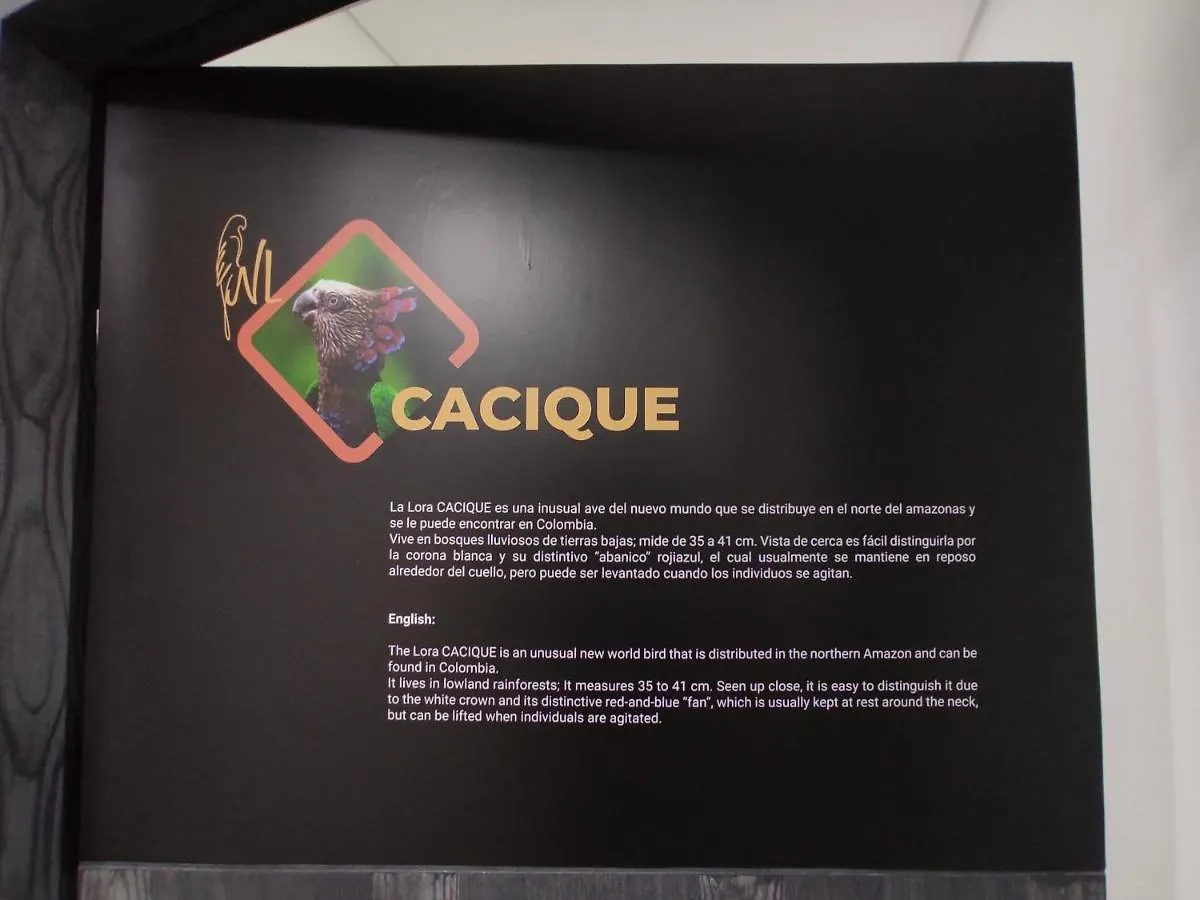 Hostel Boutique Nido De Loros Medellín Gasthuis
