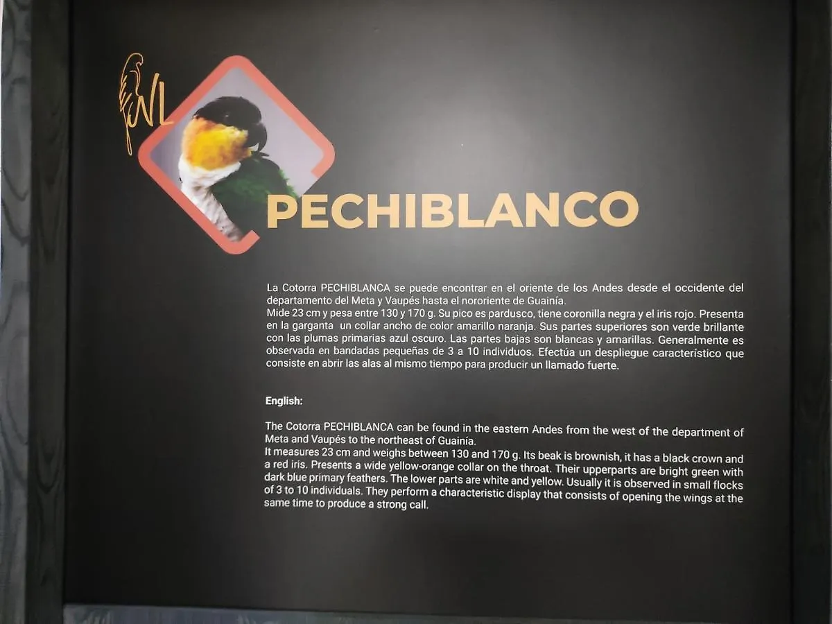 Hostel Boutique Nido de Loros Medellín Pensión