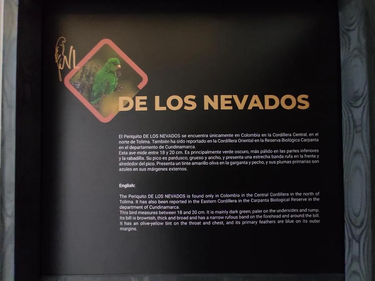 Pensión Hostel Boutique Nido de Loros Medellín