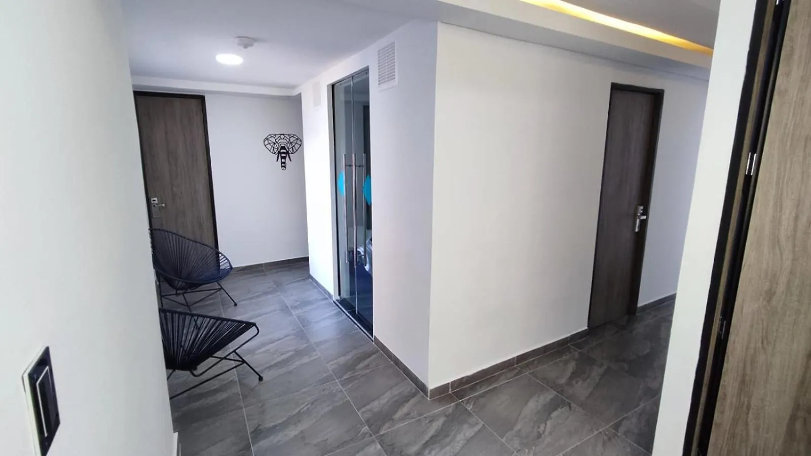 Hostel Boutique Nido de Loros Medellín Colombie